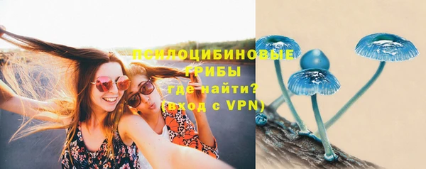 MDMA Новодвинск