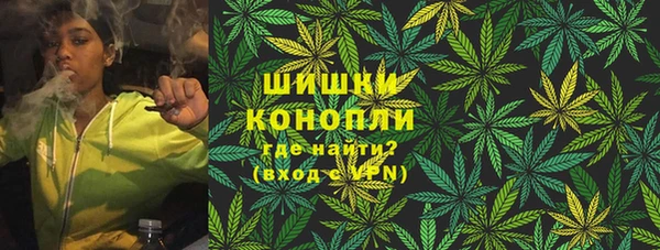 ешки Новозыбков