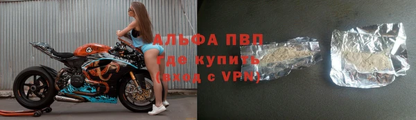 ешки Новозыбков
