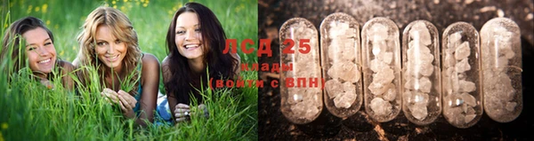 ALPHA-PVP Новокубанск